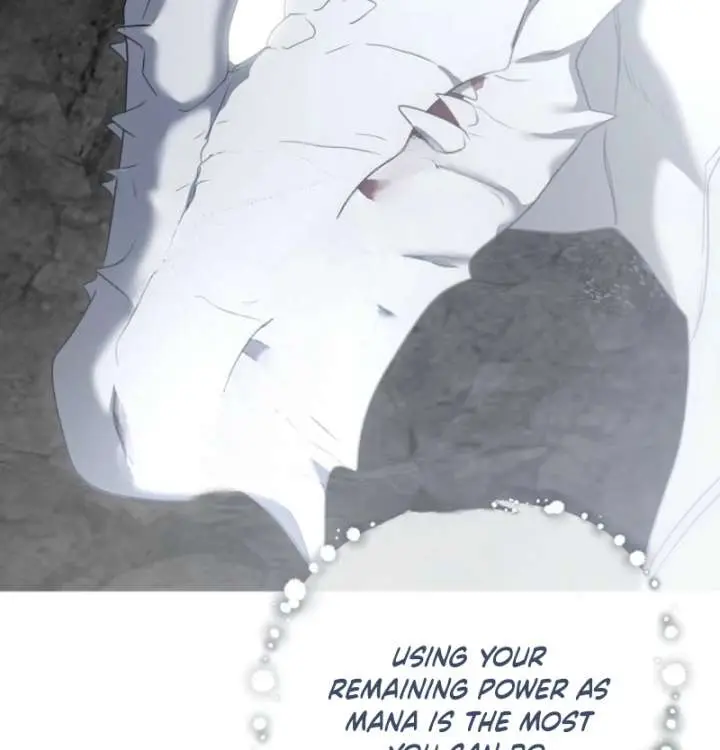 I Fell into a Reverse Harem Game Chapter 179 Page 96