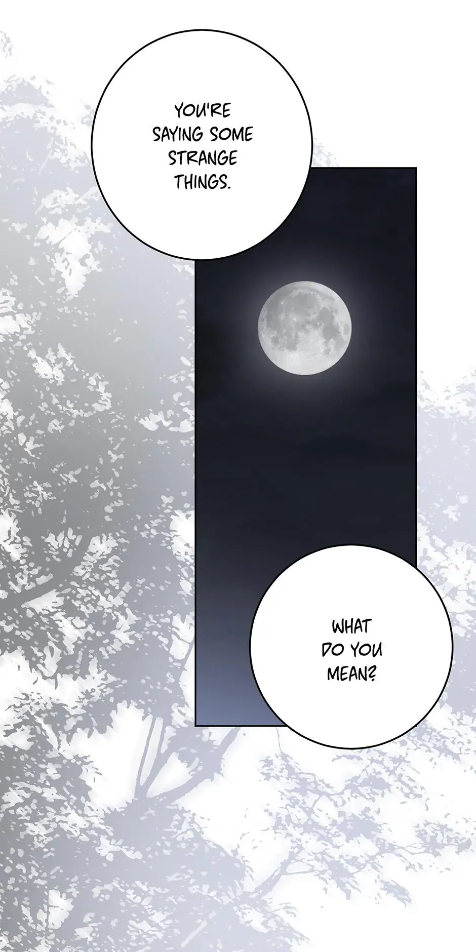 I Fell into a Reverse Harem Game Chapter 182 Page 81