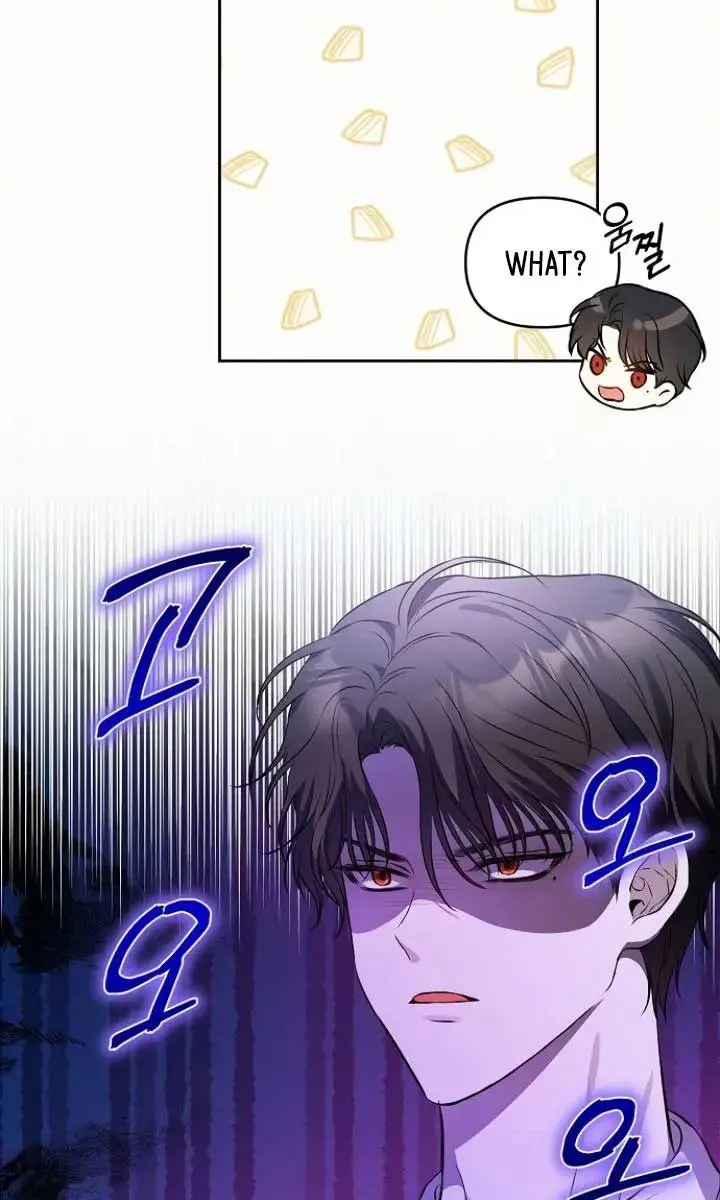 I've Probably Made a Mistake in Getting Married Chapter 19 Page 64