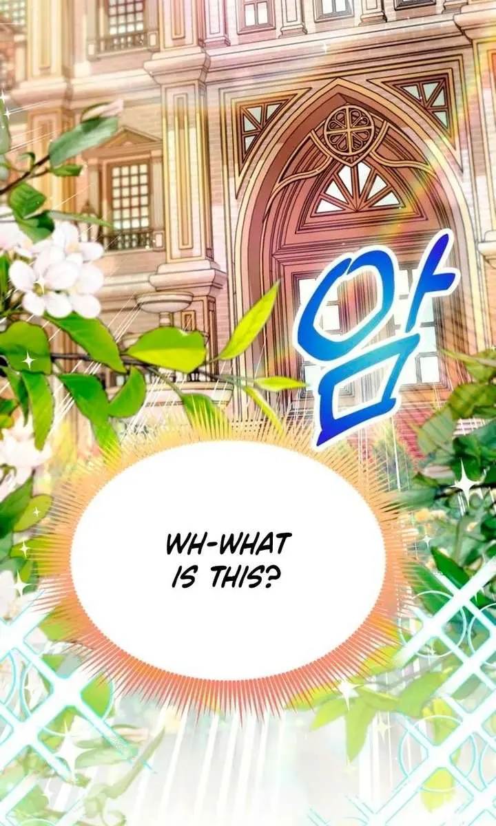 I've Probably Made a Mistake in Getting Married Chapter 45 Page 12