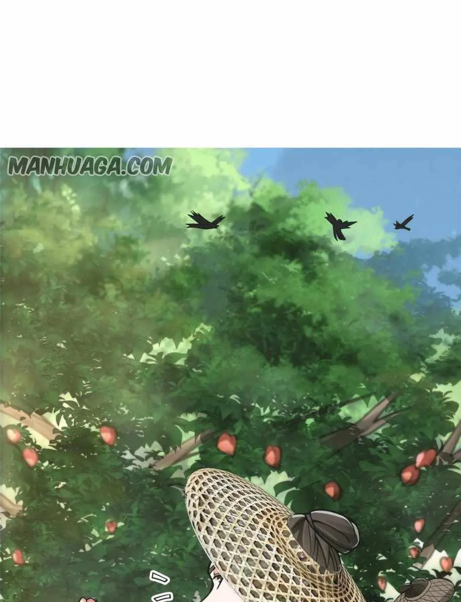 Keep a Low Profile, Sect Leader Chapter 100 Page 5