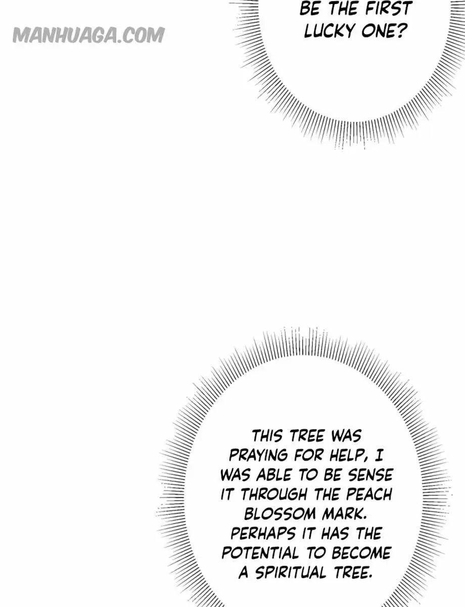 Keep a Low Profile, Sect Leader Chapter 116 Page 51