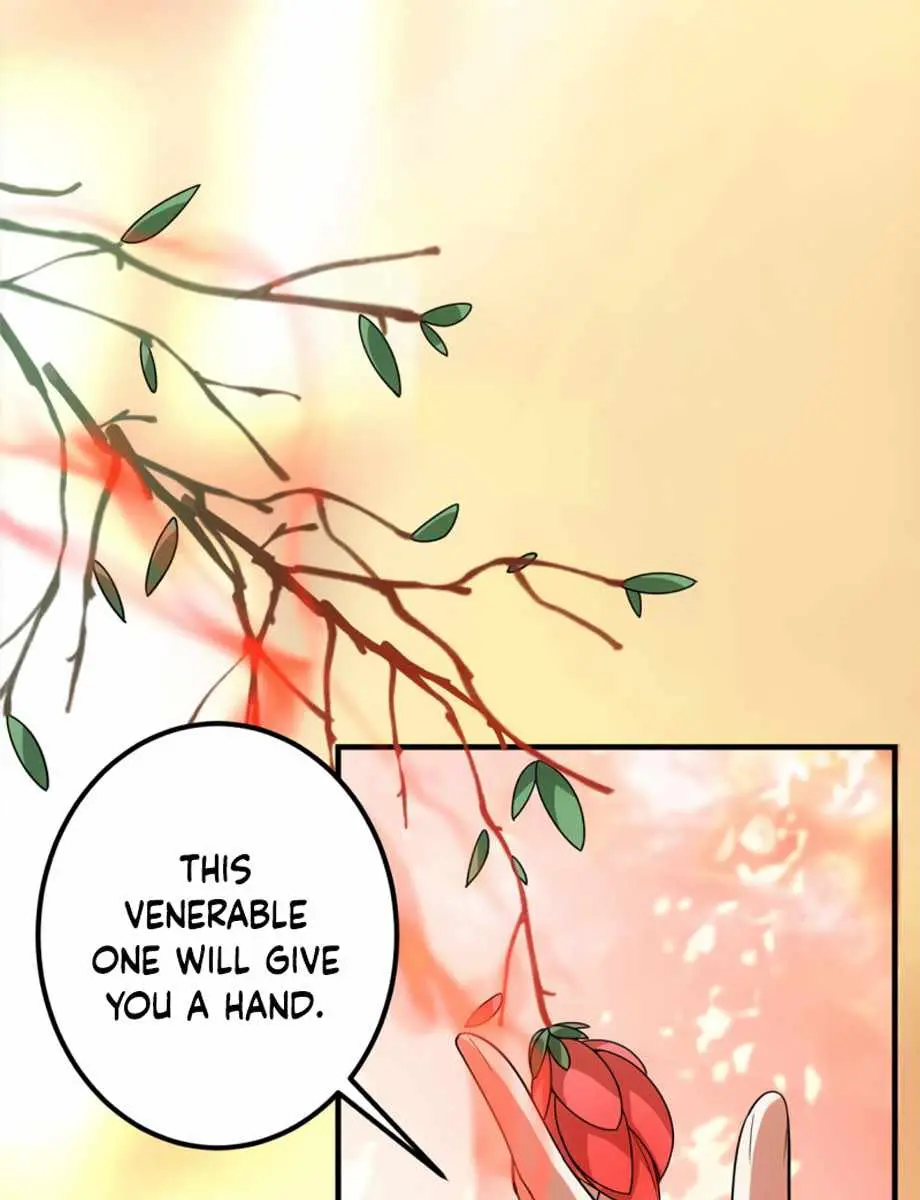 Keep a Low Profile, Sect Leader Chapter 116 Page 53