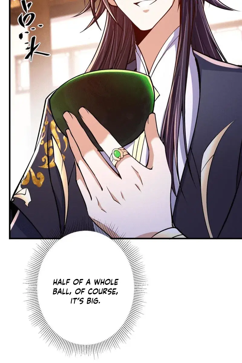 Keep a Low Profile, Sect Leader Chapter 195 Page 13