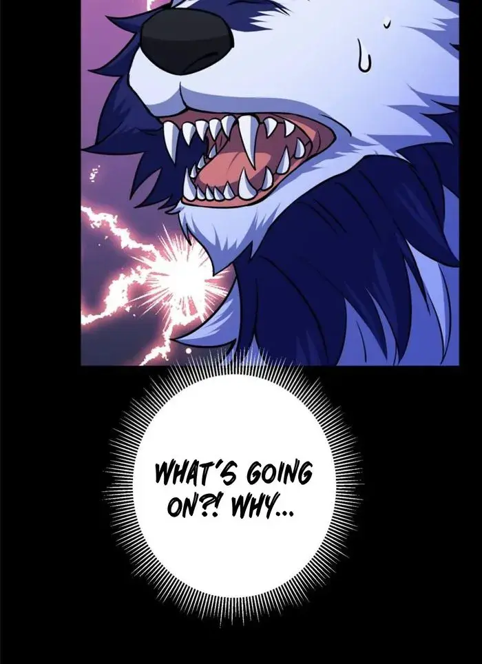 Keep a Low Profile, Sect Leader Chapter 239 Page 11