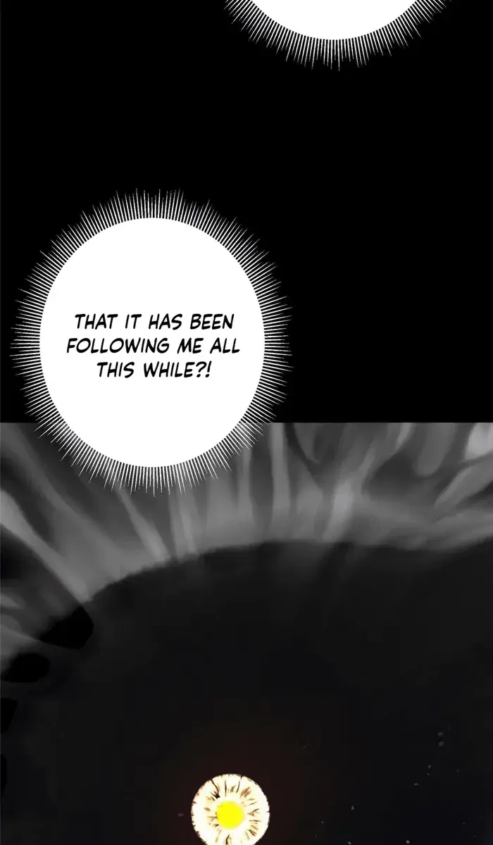 Keep a Low Profile, Sect Leader Chapter 242 Page 9
