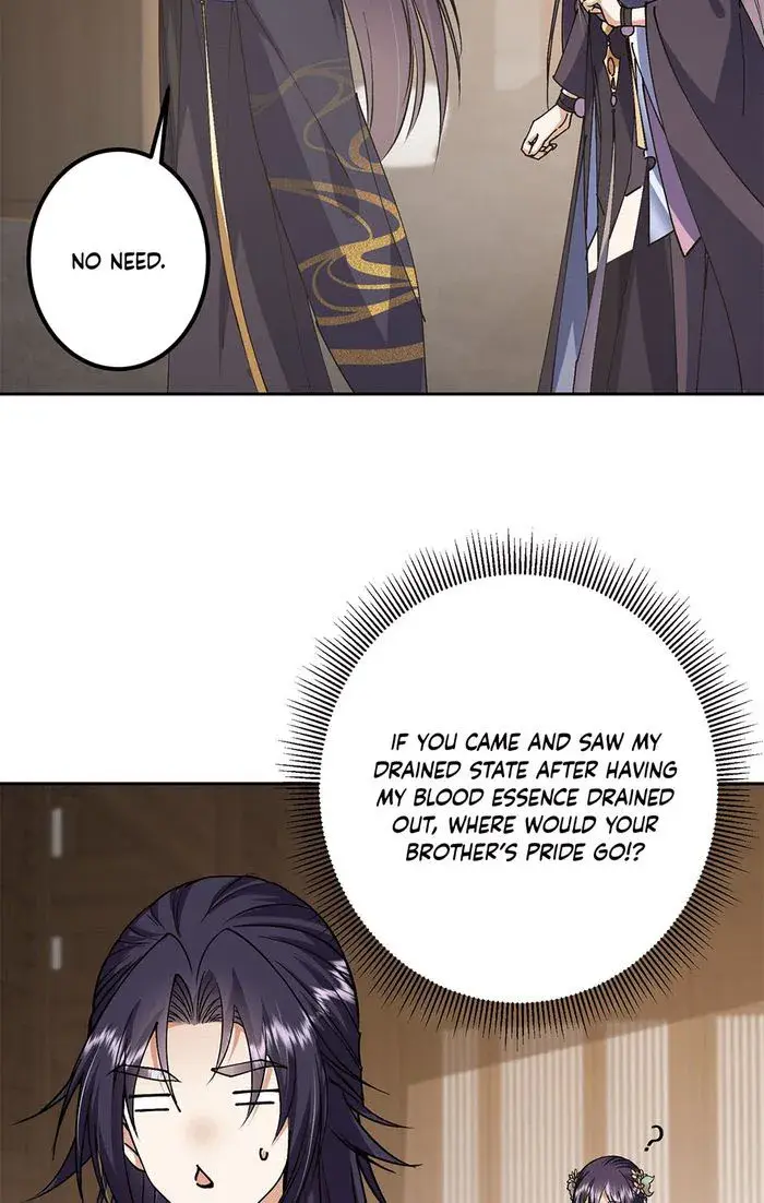 Keep a Low Profile, Sect Leader Chapter 338 Page 12
