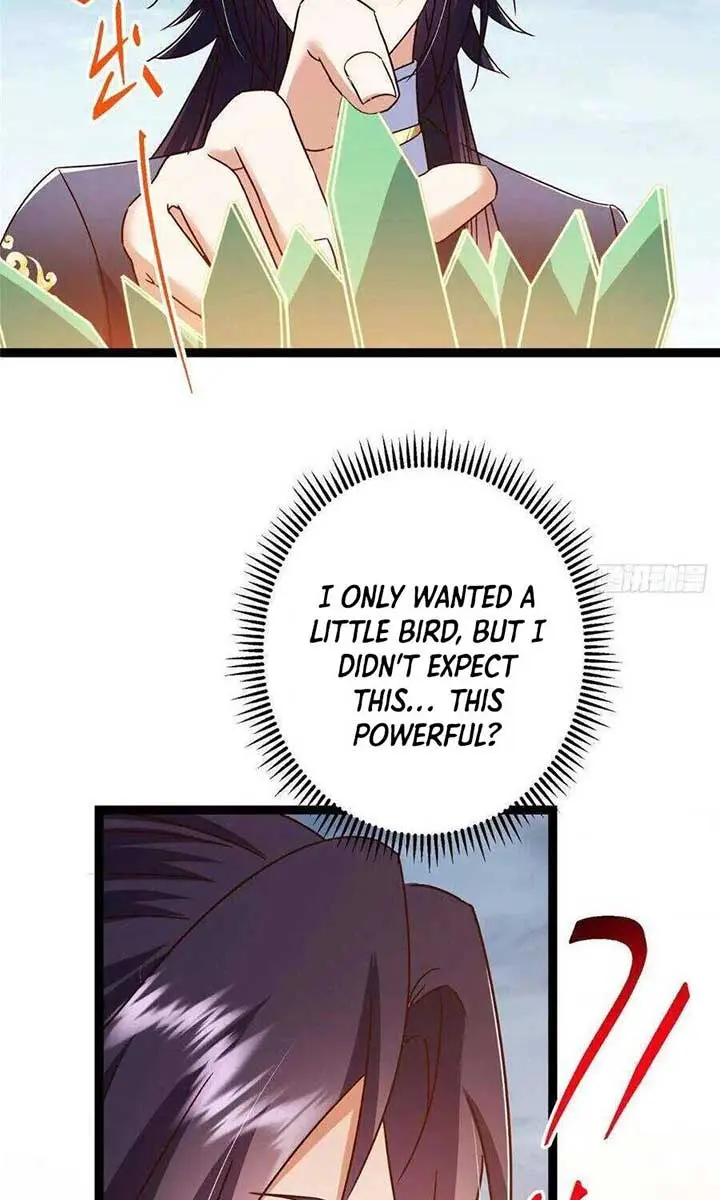 Keep a Low Profile, Sect Leader Chapter 491 Page 67