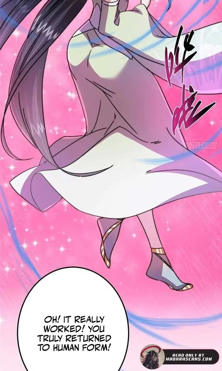 Keep a Low Profile, Sect Leader Chapter 527 Page 36