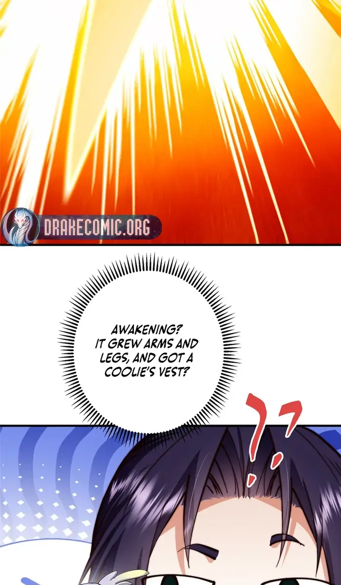Keep a Low Profile, Sect Leader Chapter 564 Page 51