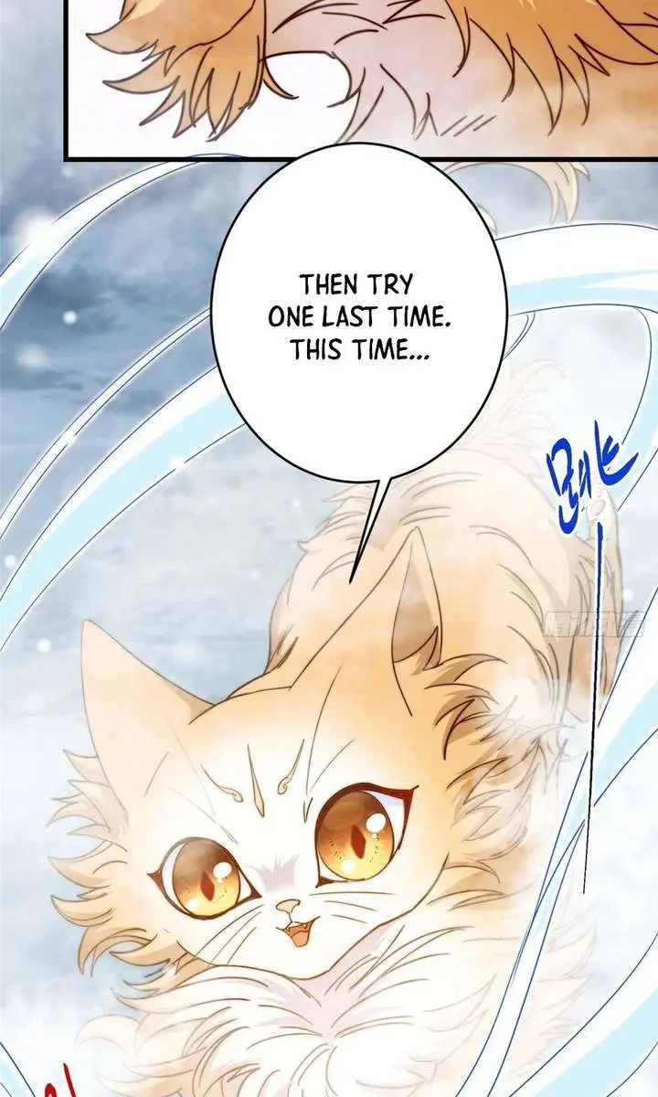 Keep a Low Profile, Sect Leader Chapter 589 Page 30