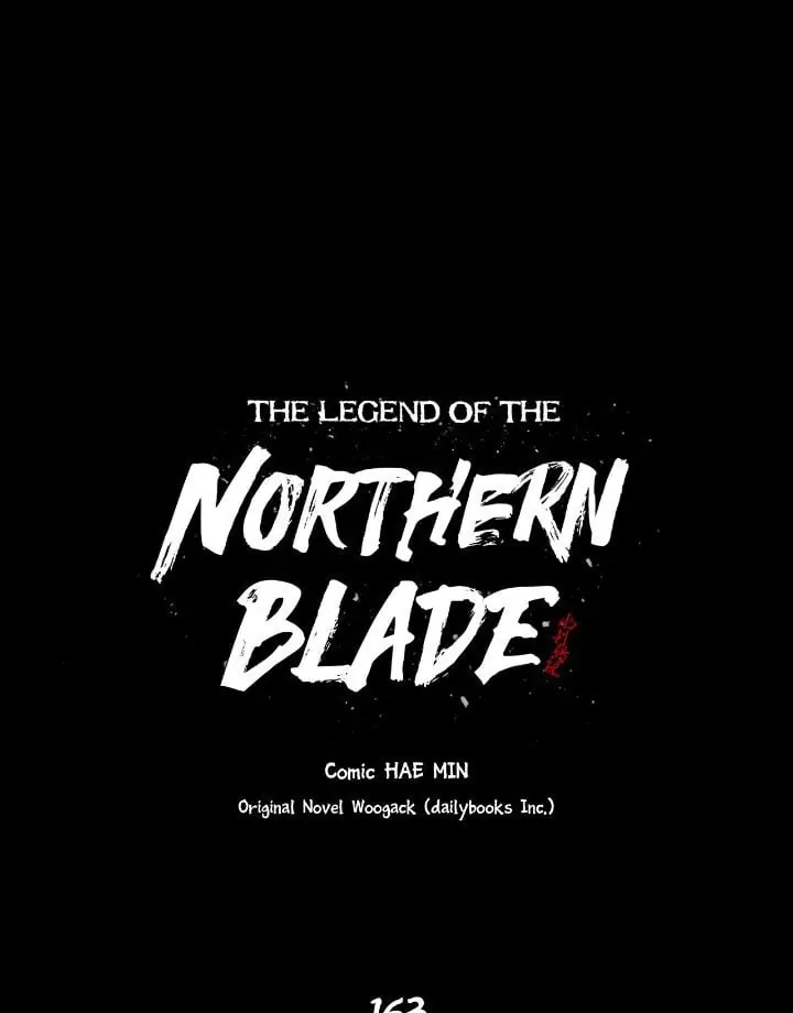 The Legend of the Northern Blade Chapter 163 Page 29