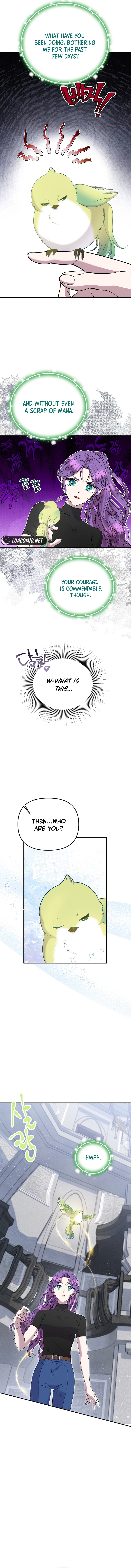 The Materialistic Princess Chapter 65 Page 12