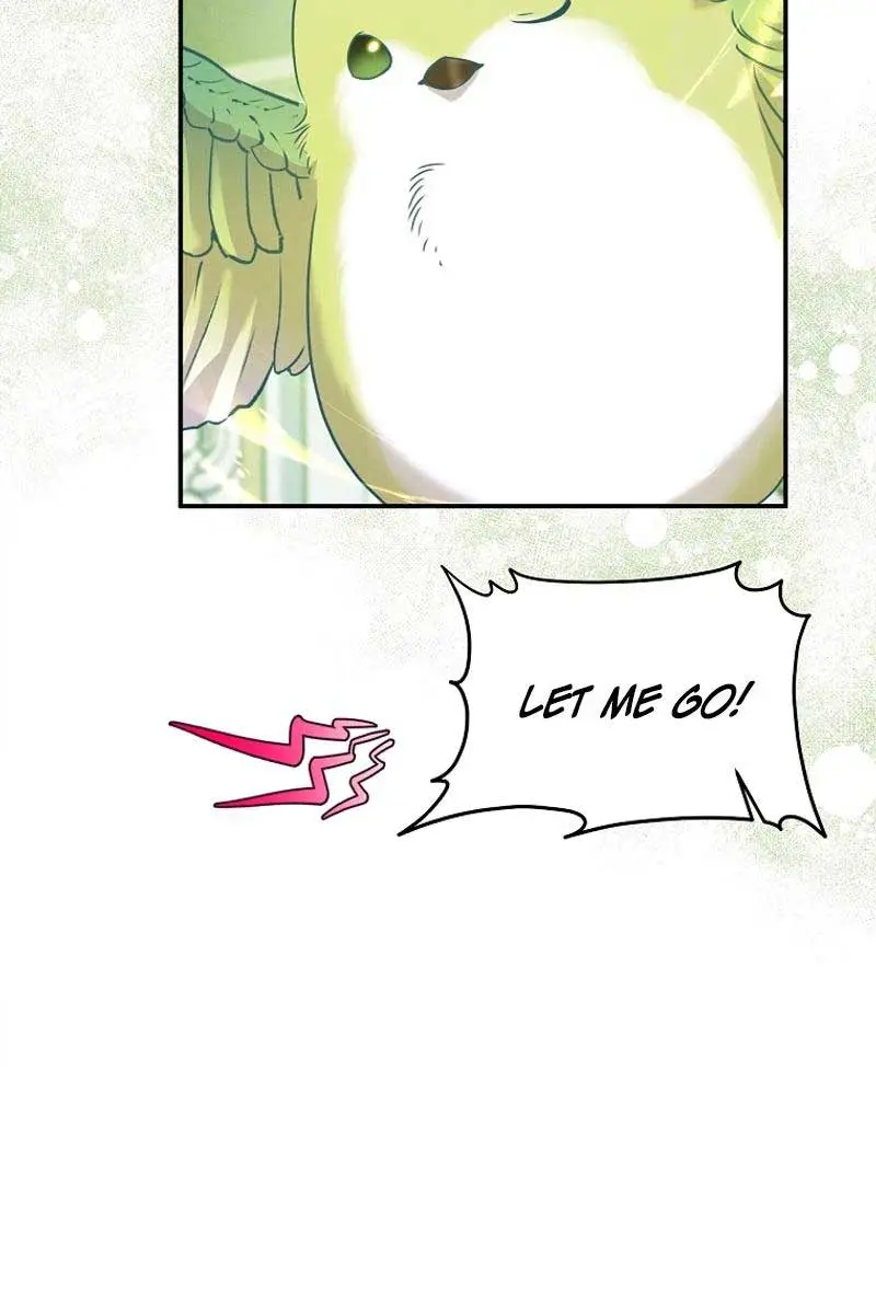 The Materialistic Princess Chapter 69 Page 67