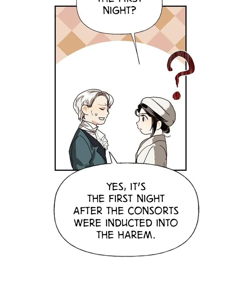 Men of the Harem Chapter 19 Page 29
