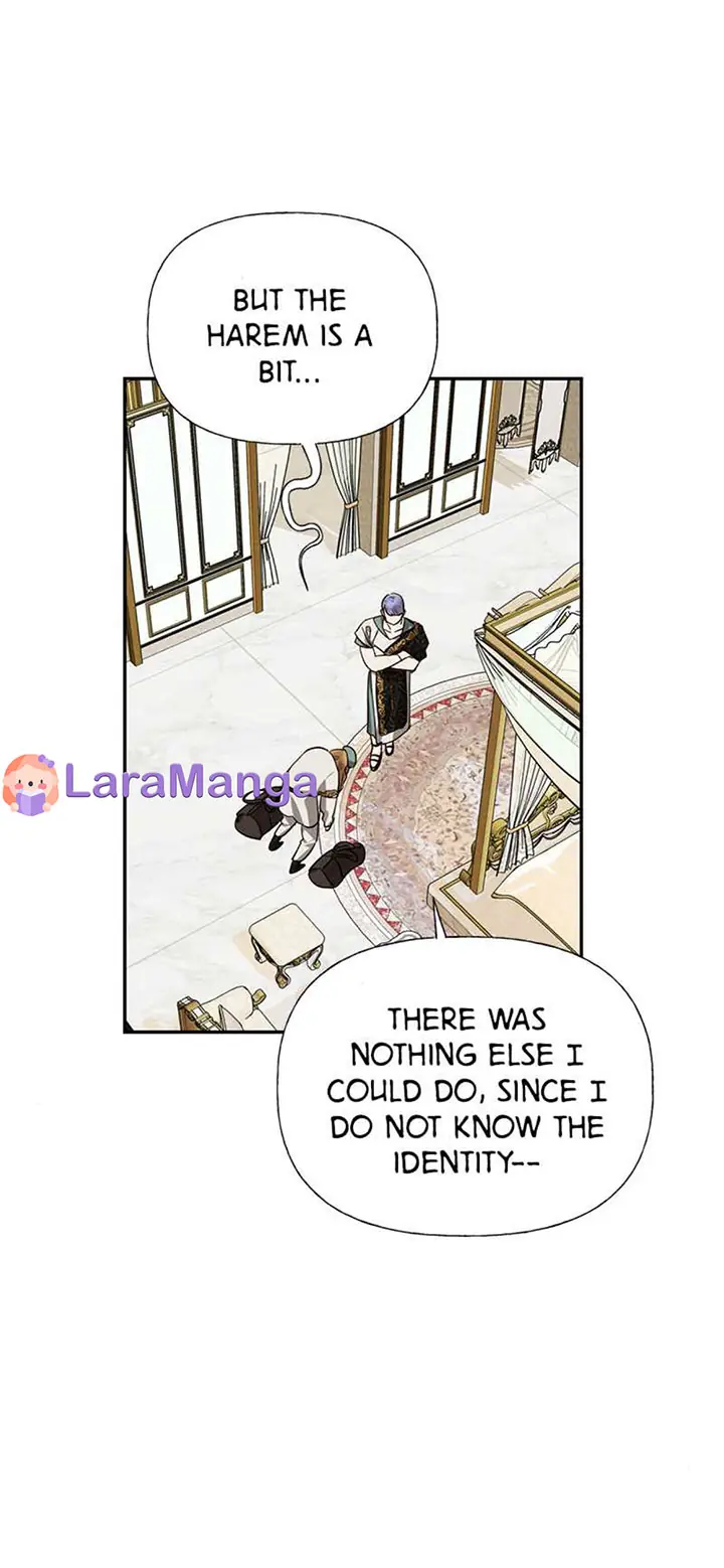 Men of the Harem Chapter 49 Page 33