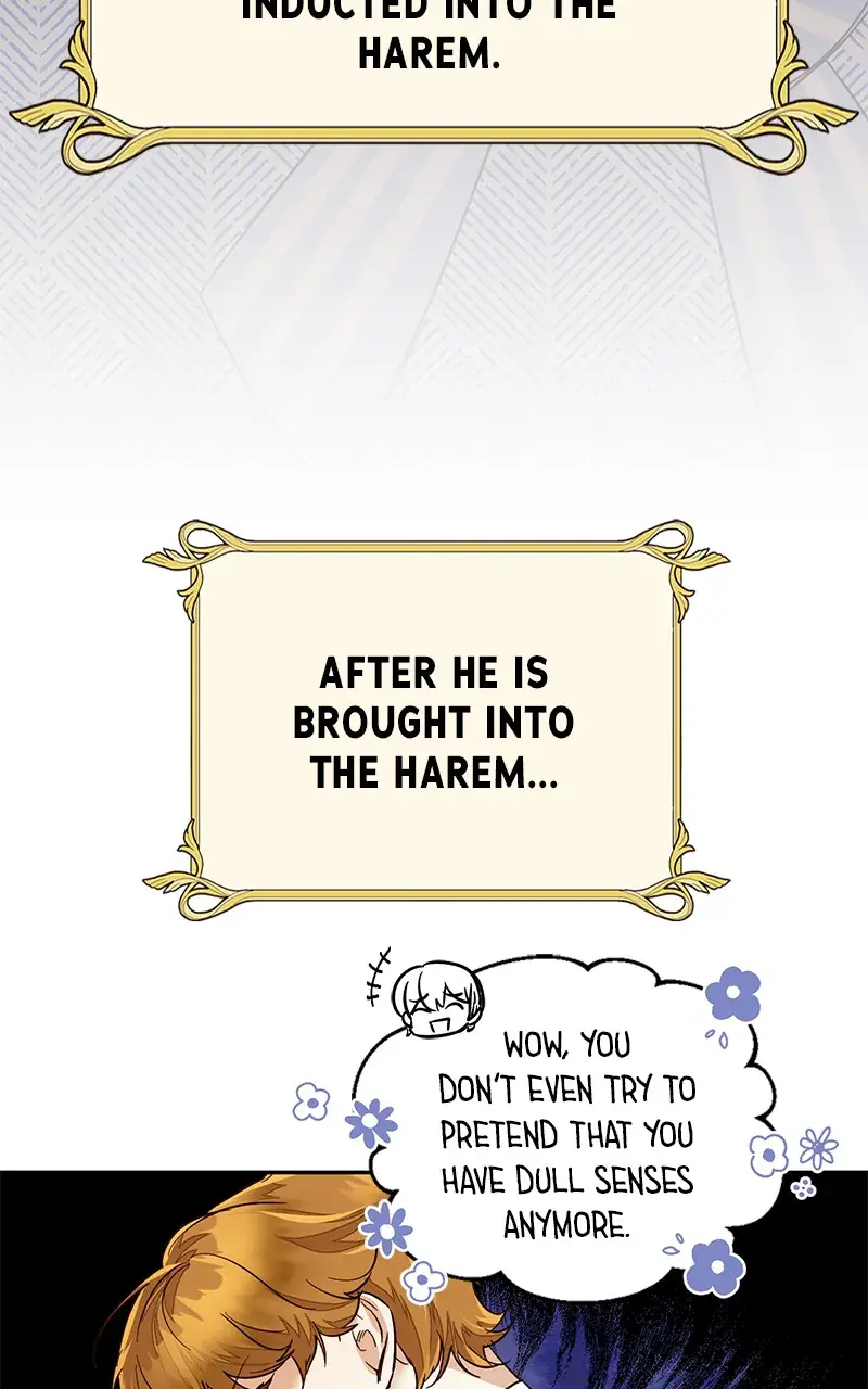 Men of the Harem Chapter 87 Page 74