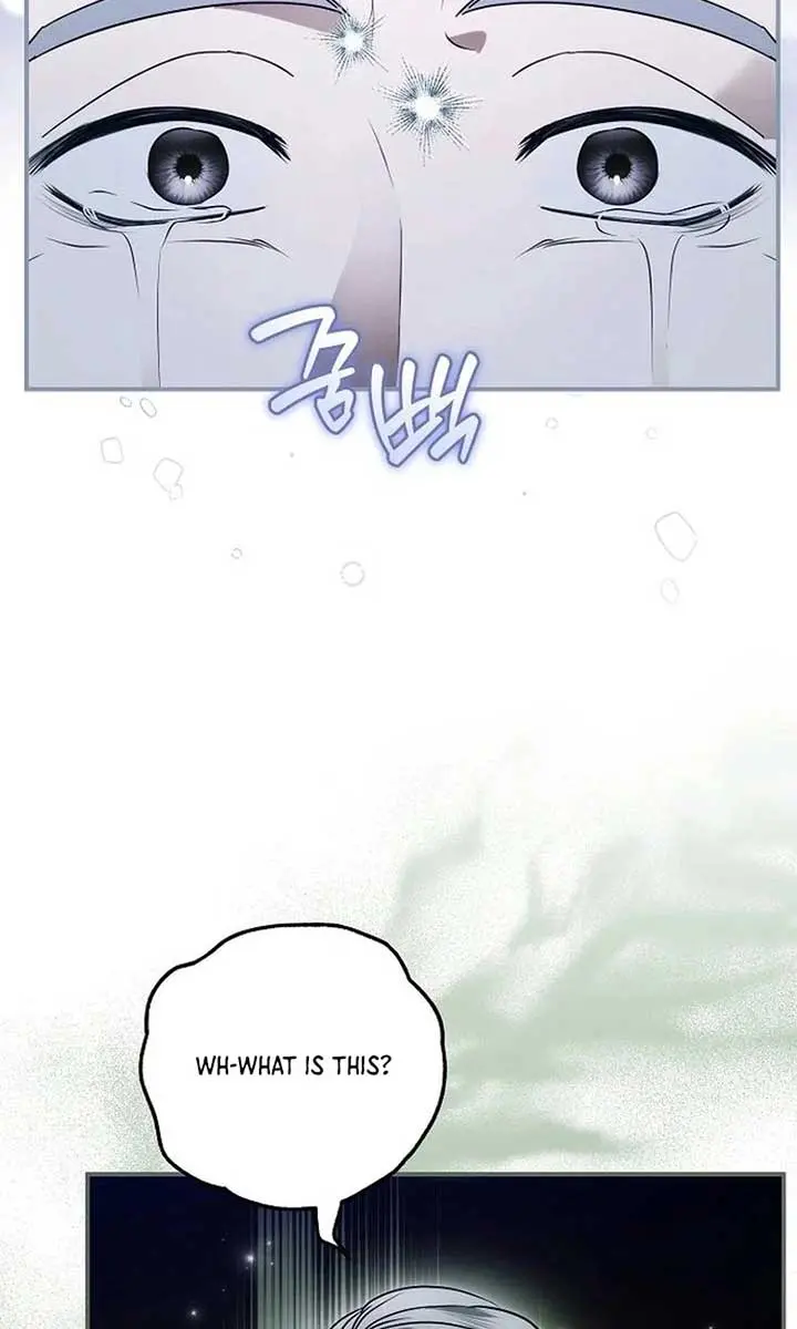 My Body Has Been Possessed by Someone Chapter 79 Page 92