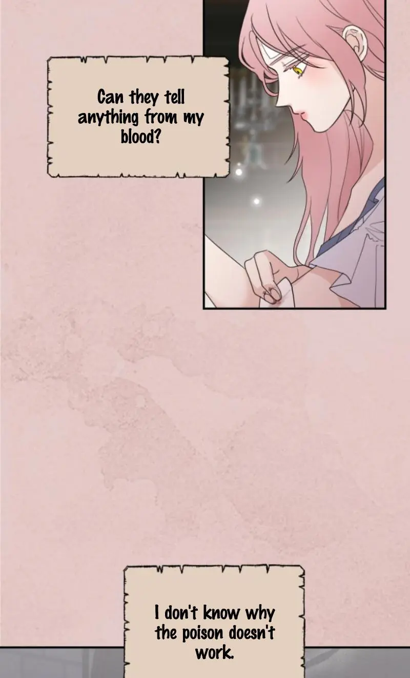 My In-Laws Are Obsessed with Me Chapter 11 Page 25