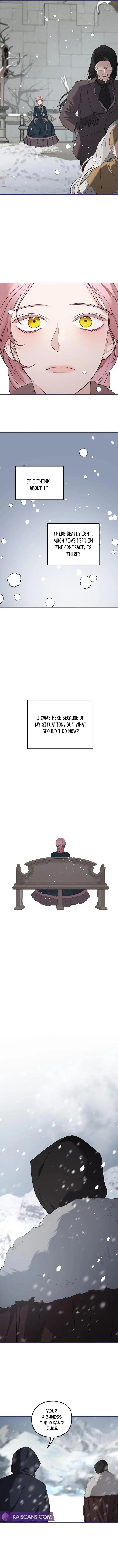 My In-Laws Are Obsessed with Me Chapter 85 Page 10