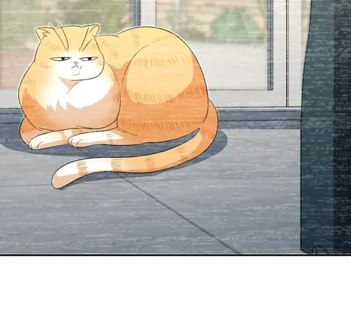 My Wife Is From a Thousand Years Ago Chapter 343 Page 84