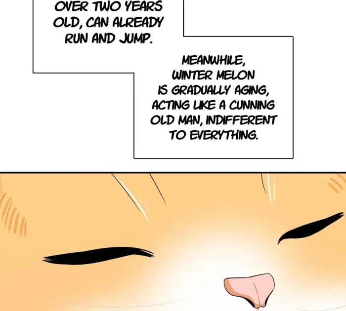 My Wife Is From a Thousand Years Ago Chapter 355 Page 4