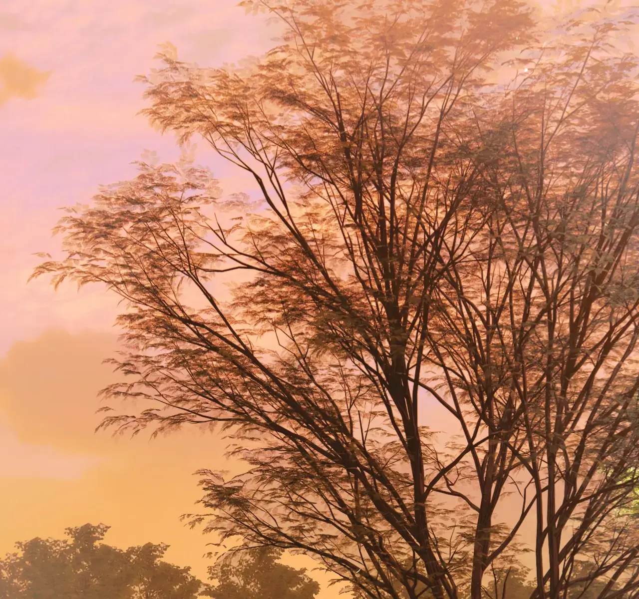 Only for Love Chapter 14 Page 44