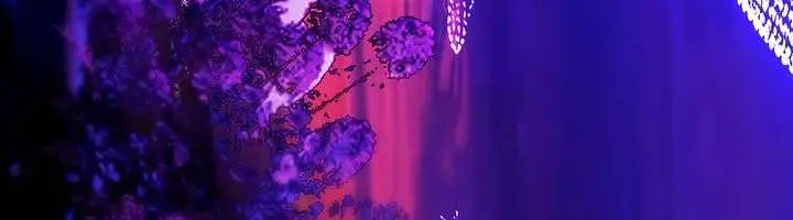 Only for Love Chapter 79 Page 49