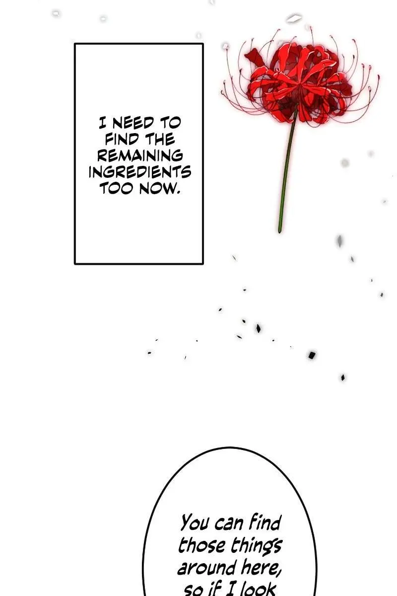 ??? Rank Hidden Equipment Musou Chapter 5 Page 25