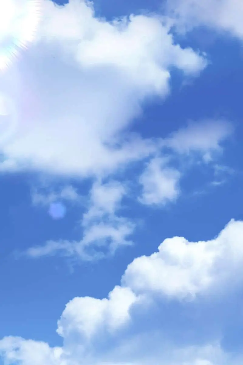 ??? Rank Hidden Equipment Musou Chapter 63 Page 85