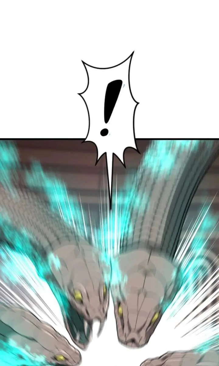 ??? Rank Hidden Equipment Musou Chapter 92 Page 69