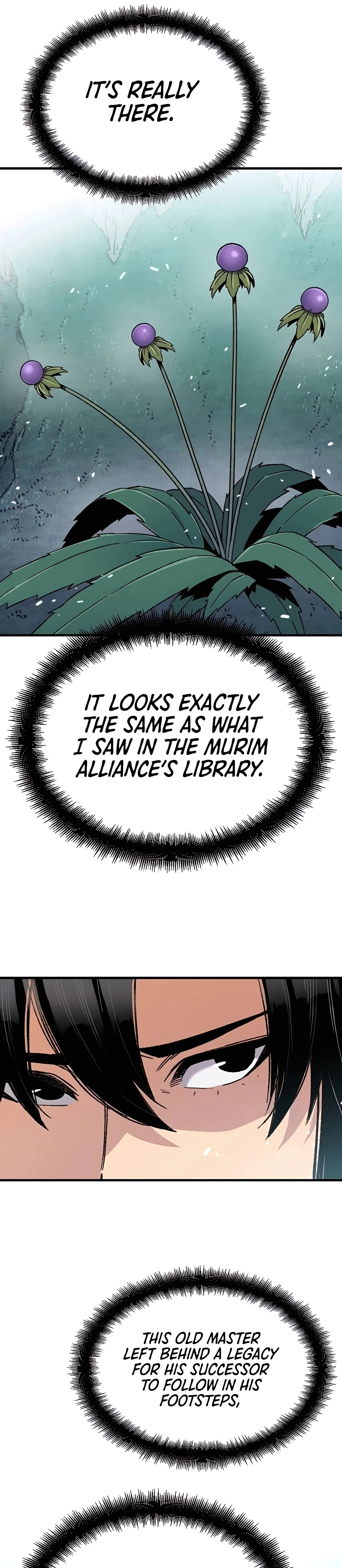 Reincarnated Murim Lord Chapter 42 Page 29