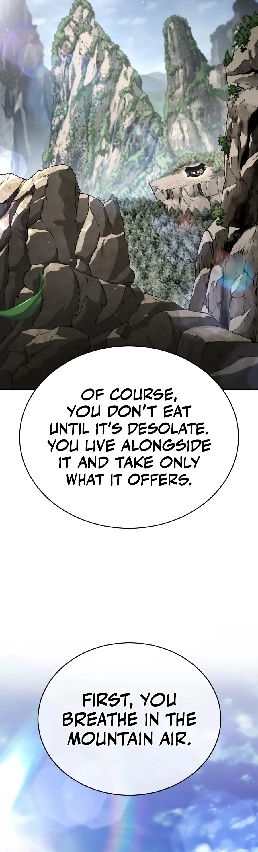 Reincarnation of the Fist King Chapter 63 Page 15