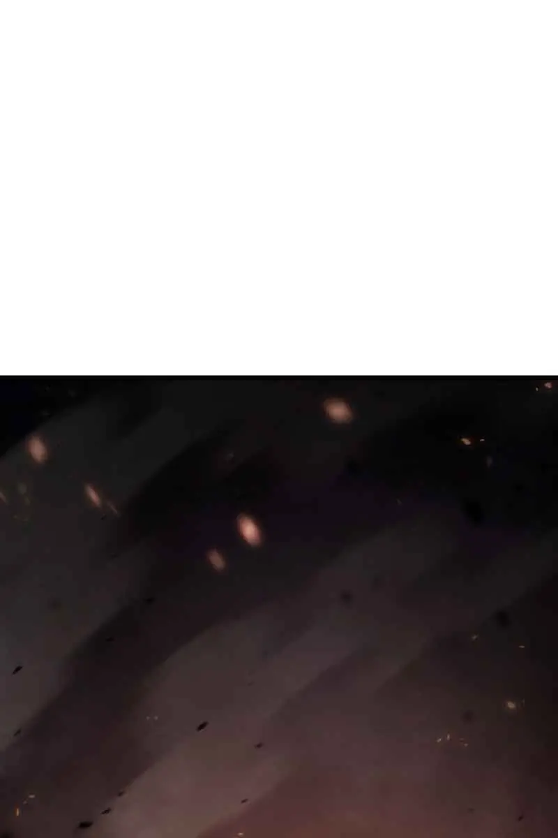 Revenge of the Iron-Blooded Sword Hound Chapter 14 Page 2