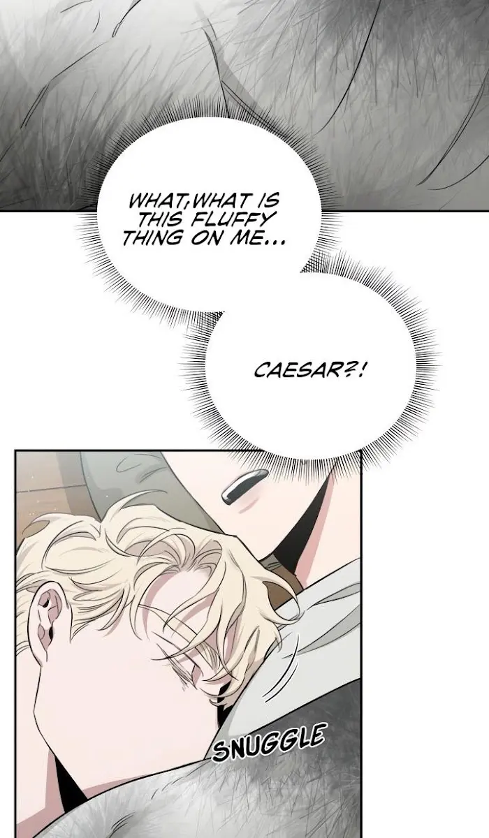 Roses and Champagne Chapter 27 Page 33