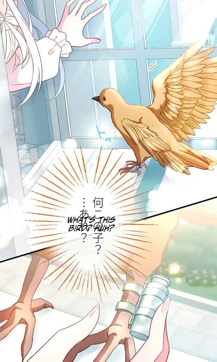 She Was Supposed to Be a Temporary Princess but It Seems She Is Done a Little Too Well Chapter 4 Page 43