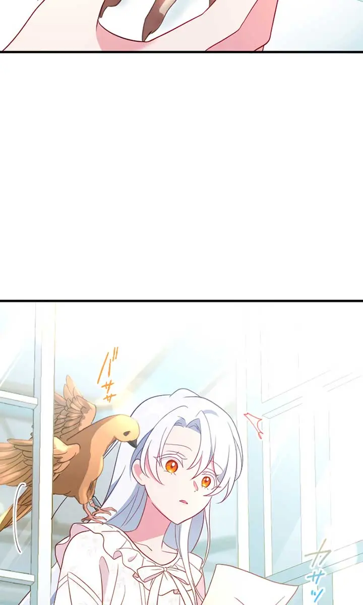 She Was Supposed to Be a Temporary Princess but It Seems She Is Done a Little Too Well Chapter 4 Page 44