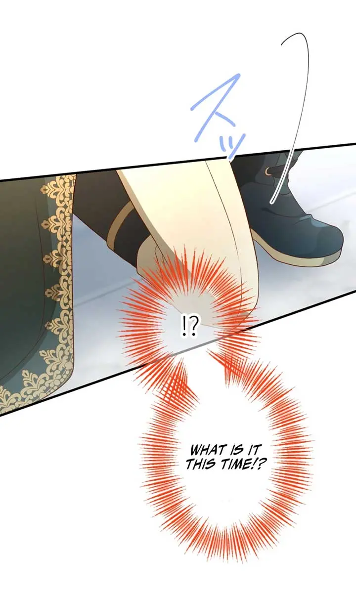 She Was Supposed to Be a Temporary Princess but It Seems She Is Done a Little Too Well Chapter 5 Page 24