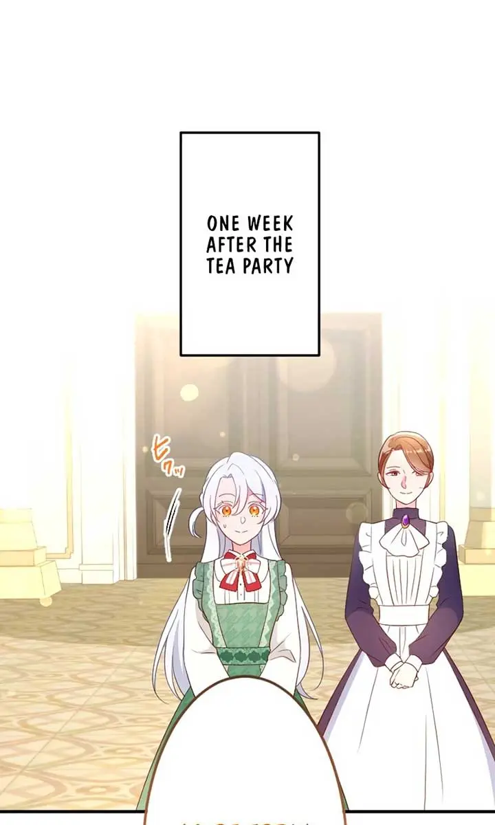 She Was Supposed to Be a Temporary Princess but It Seems She Is Done a Little Too Well Chapter 9 Page 17