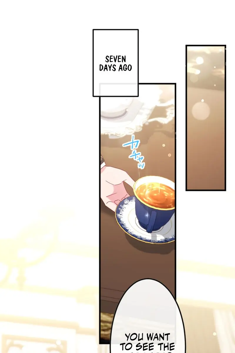 She Was Supposed to Be a Temporary Princess but It Seems She Is Done a Little Too Well Chapter 16 Page 26