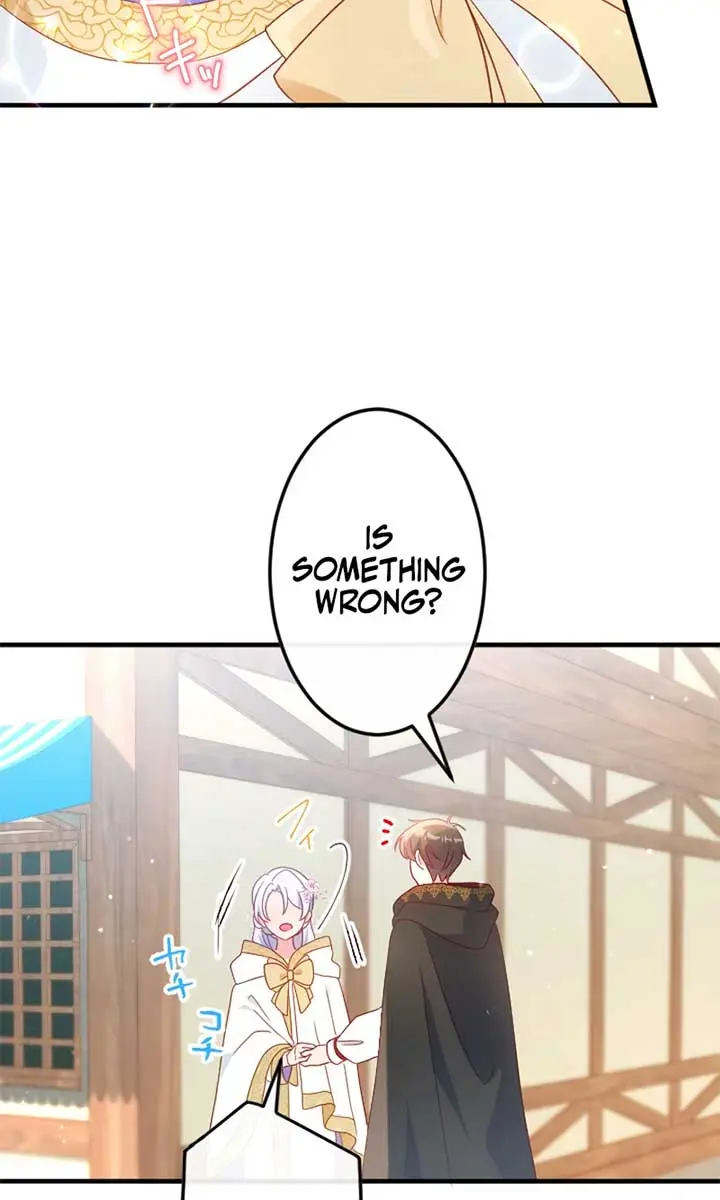 She Was Supposed to Be a Temporary Princess but It Seems She Is Done a Little Too Well Chapter 19 Page 40