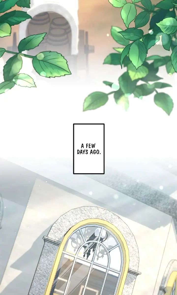 She Was Supposed to Be a Temporary Princess but It Seems She Is Done a Little Too Well Chapter 26 Page 31