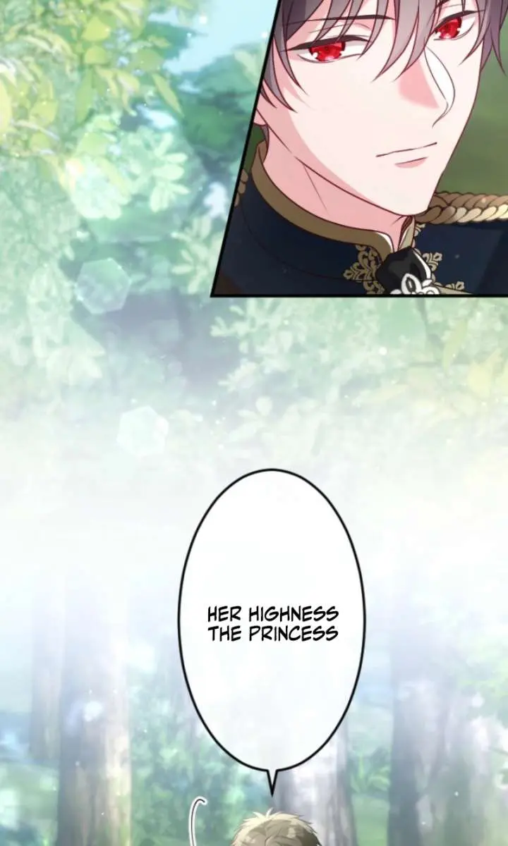 She Was Supposed to Be a Temporary Princess but It Seems She Is Done a Little Too Well Chapter 47 Page 40