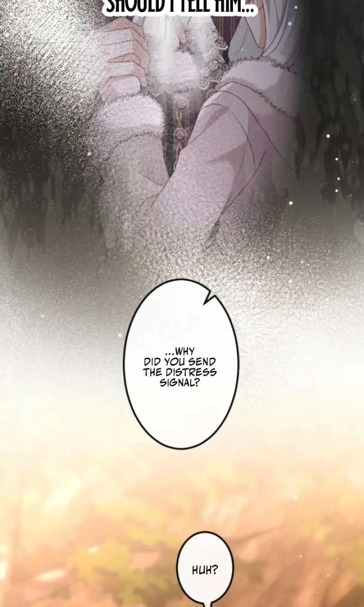 She Was Supposed to Be a Temporary Princess but It Seems She Is Done a Little Too Well Chapter 50 Page 31