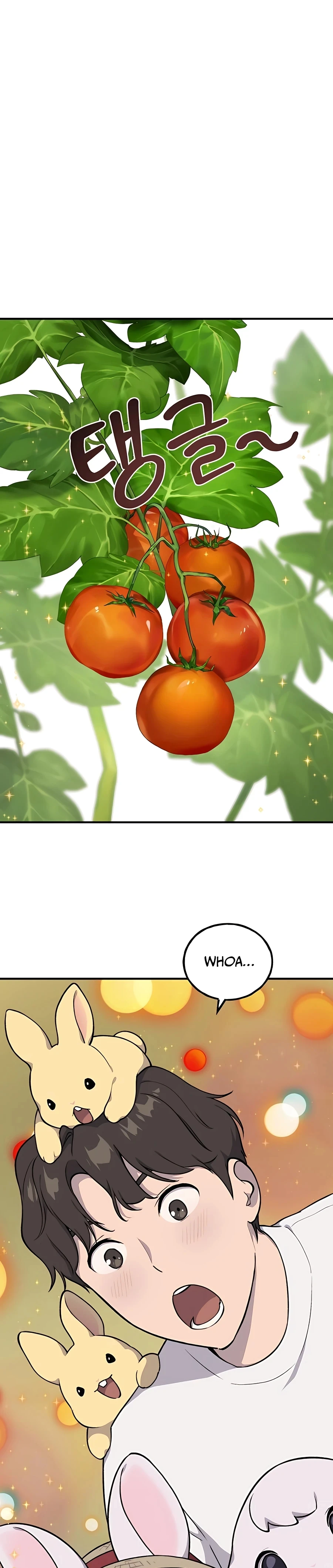 Solo Farming in the Tower Chapter 6 Page 18