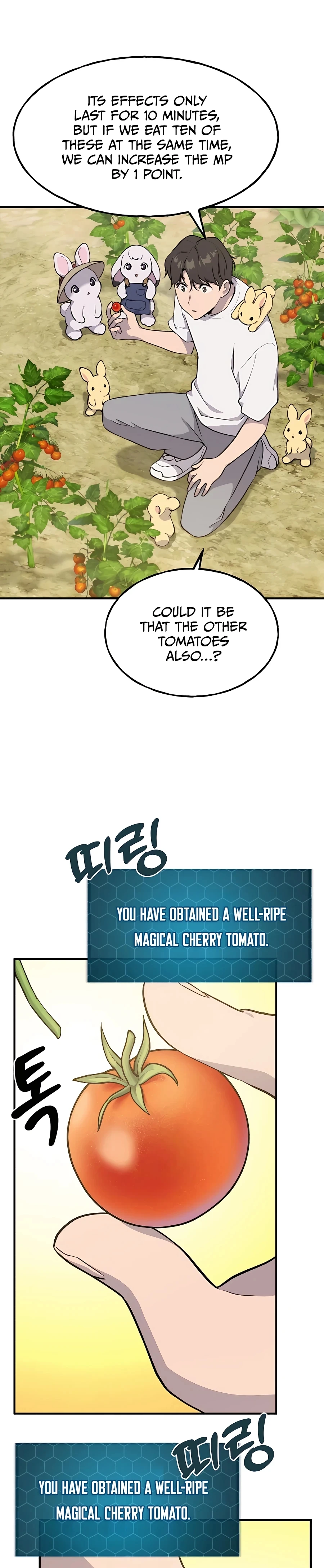Solo Farming in the Tower Chapter 6 Page 24