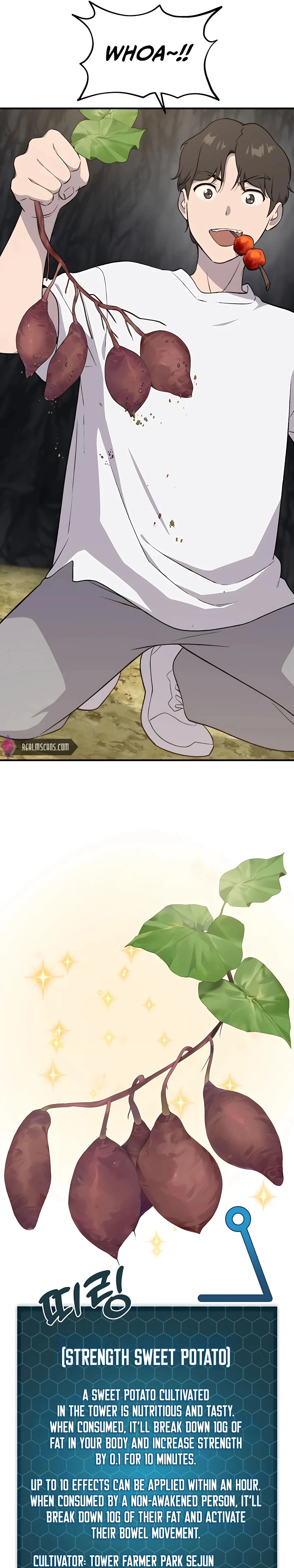 Solo Farming in the Tower Chapter 8 Page 18