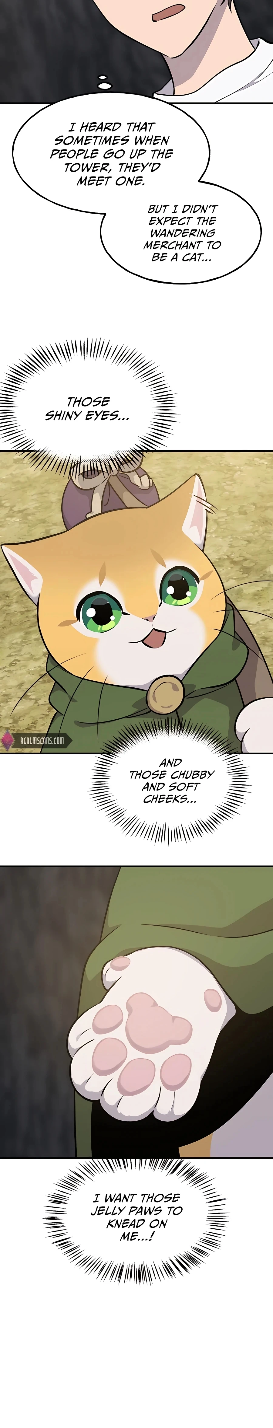 Solo Farming in the Tower Chapter 11 Page 3