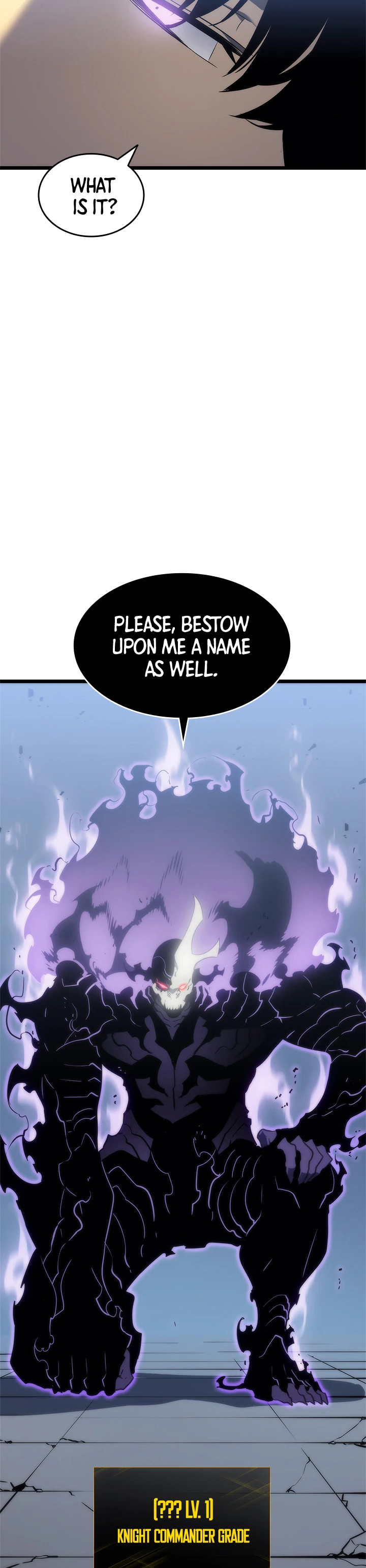 Solo Leveling Chapter 147 Page 12