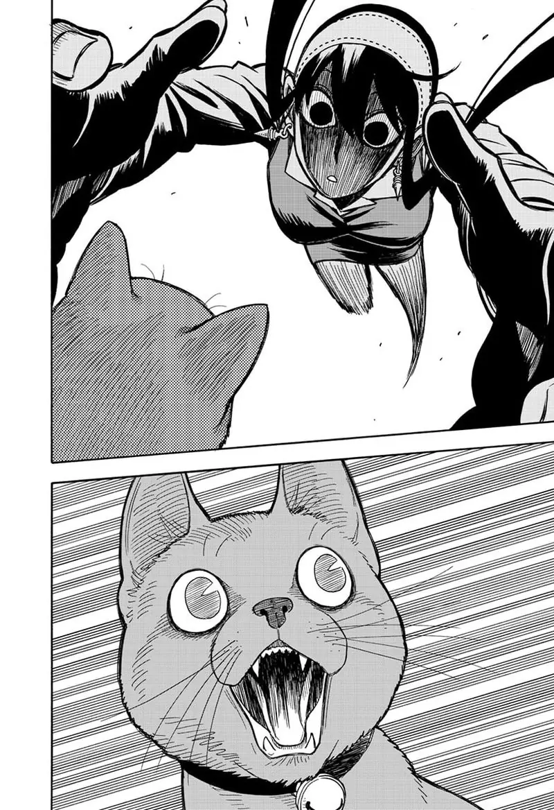 Spy x Family Chapter 43 Page 17
